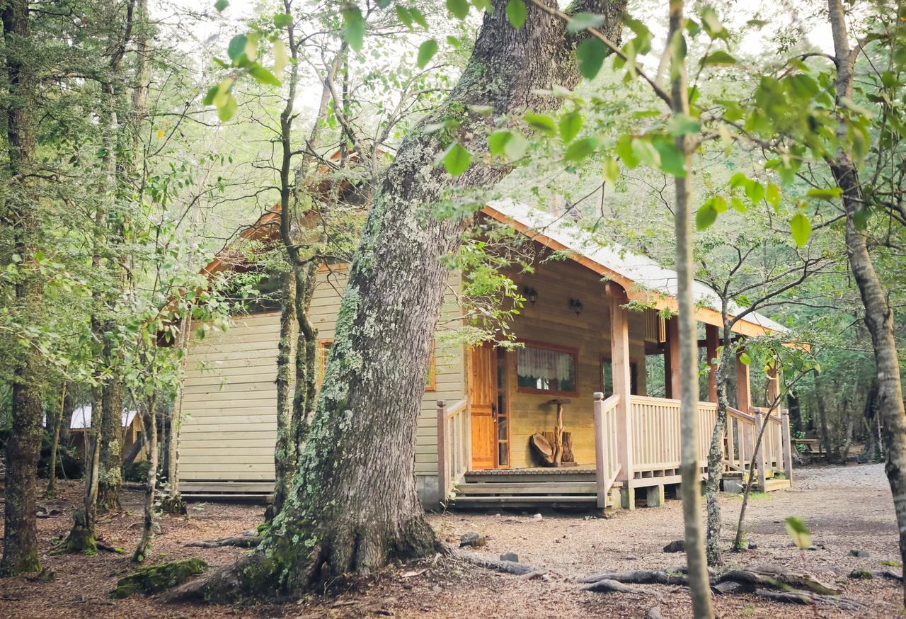 Llaima Camp Villa Curacautin Exterior photo